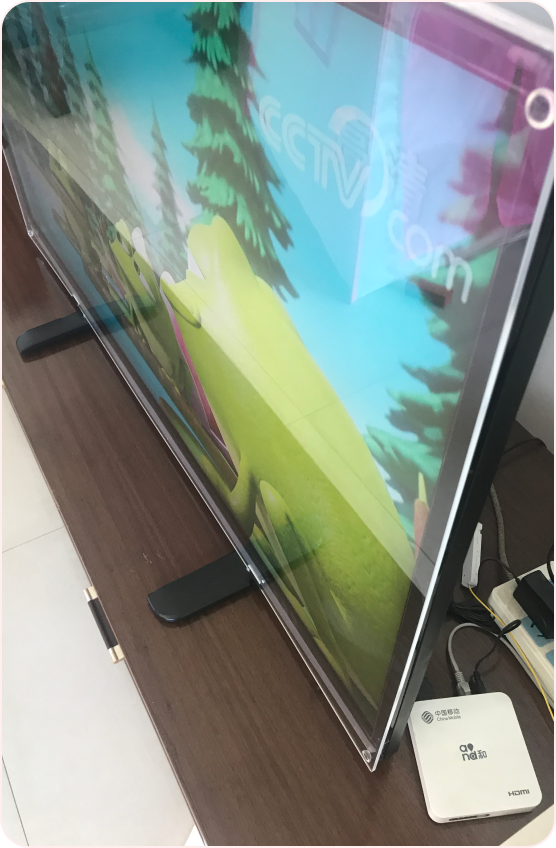 Indoor Protective TV Overlay Kit